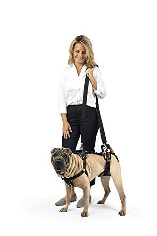 PetSafe CareLift Support Harness - Full Body Dog Lifting Harness 35-70lbs Medium