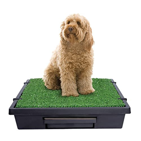 PetSafe Pet Loo Portable Dog Potty, Alternative to Puppy Pads, Medium