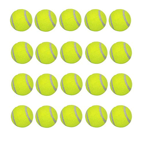 LUCKYERMOREDog Tennis Balls 20 Pack Pet Tennis Ball for Small Dogs Premium Fetch Toy Non-Toxic Non-Abrasive Material