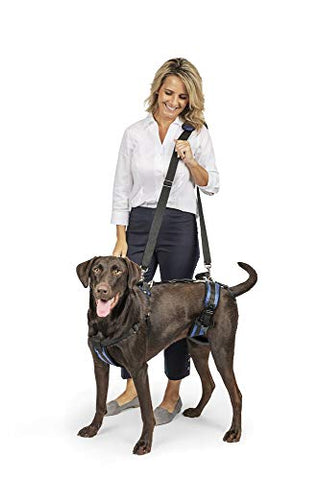 PetSafe CareLift Support Harness - Full Body Dog Lifting Harness 70-130lbs Large